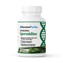 Spermidine liposomale 8mg de Spermidine-Rich Extrait de germe de blé pour les femmes et les hommes pour promouvoir le renouvellement cellulaire pour un vieillissement en santé.