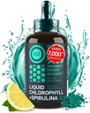 Chlorophylle liquide gouttes avec Spiruline pour l'eau - Pleine énergie, bien-être, supplément de soutien immunitaire - 50mg Chlorophylle liquide, 12,5mg Spiruline - Lemon Saveur Detox boisson - 2oz, 118 portions