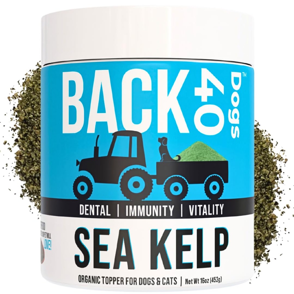 Biologische Kelp poeder voor honden, gedroogde zee Kelp supplement voor schildklierfunctie, tandheelkundige gezondheid, immuunondersteuning, spijsvertering, huid & jas - Iodine rijk - Multivitamine voor katten & honden 16oz - Made in USA