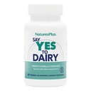 Natures Plus Zeg Ja tegen Dairy - 50 Kauwtabletten - Natural Lactase Enzyme Supplement, Maximale Sterkte Digestive Aid, Lactose Intolerance Relief - Gluten-Free - 50 porties