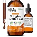 Wild & Organic Stingling Nettle Leaf Extract Drops - Urinaire Tract Ondersteuning - Liquid Stinging Nettle Supplement - Urtica Dioica Tinctuur - 2-maand levering - Vegan, Sugar & Alcohol-Free - 2 fl oz