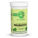 Sunwarrior Probiotica Vegan Capsules op basis van bodem 10 miljard CFU voor digestie Sojavrij Glutenvrij Dairy Free 30 CT