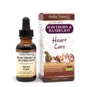 Amber NaturalZ Hawthorn & Dandelion Herbal Supplement voor honden, katten, vogels, konijnen en Guinea Pigs Ondersteunt de gezondheid van het hart, Circulatie en vochtbalans natuurlijke hart-en vaatzorg