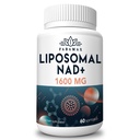 1600 mg Supplément NAD liposomique, 98 % Supplément NAD+ pur, Absorption supérieure, Alternative au riboside de nicotinamide ou NADH pour stimuler NAD+ pour la défense du vieillissement, l'énergie, la longévité,60 Softgels