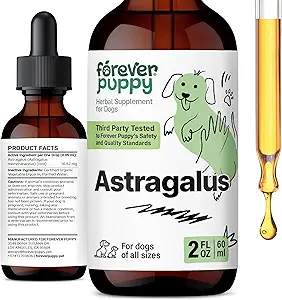 Forever Puppy Astragalus Root Drops for Dogs - Astragalus Membranaceus Tinctuur voor honden Immune Defense - Herbal Pet Liquid Supplements for Immunity Support & Joyful Pet Care - 2 oz