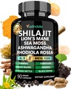 Adndale Shilajit Supplément. Pure Himalayan Organic Shilajit pour hommes et femmes Capsules avec Sea Moss Ashwagandha Rhodiola Rosea Lion. 90 Comte