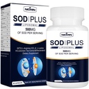 Supplément Superoxide Dismutase 500mg - SOD En plus du glutathion liposomique, AKG, Extrait de thé vert, L-Arginine, Lysine, Resvératrol et Vitamine E pour le support immunitaire, Antioxydant 60 Capsules