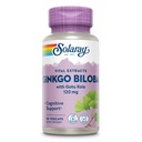 Solaray Ginkgo Biloba Extrait avec Gotu Kola - Ginko Biloba Capsules pour le soutien de la santé cérébrale - Vegan, Lab Vérifié, Garantie de 60 jours - 60 portions, 60 VegCaps (60 VegCaps)