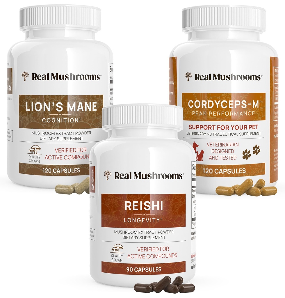 Real Paddestoelen Hersenen, vitaliteit & Immune Support Bundle - Lion