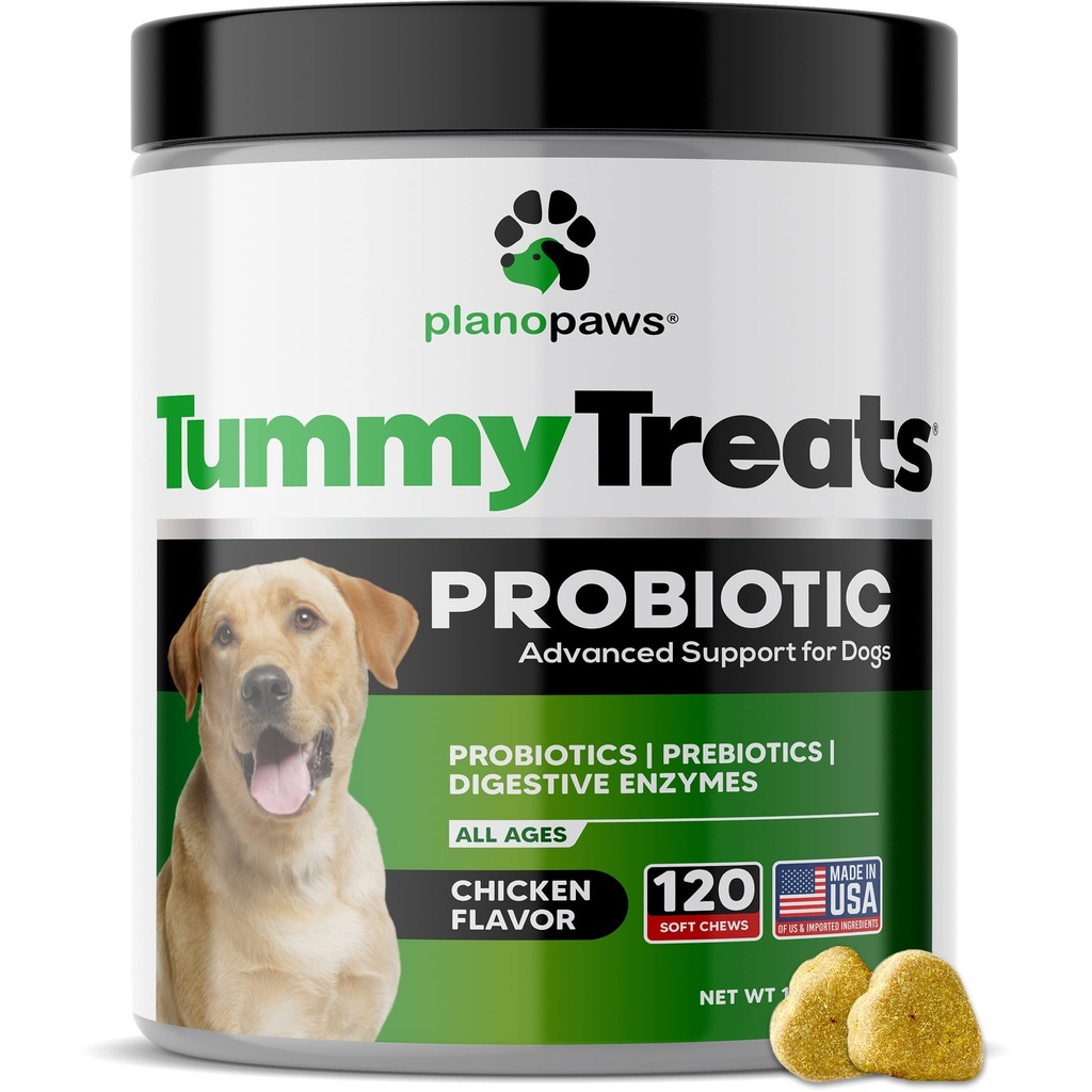 Probiotiques pour chiens santé digestive - Probiotiques pour chiens et enzymes digestives - Allégations pour chiens - Probiotiques pour chiens santé gut - Puppy probiotique tummy Treats - 120 chien probiotique Chews