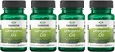 Swanson Oregano Oil 10:1 Extract - Natural Supplement Promoting Digestive Health & Respiratory Support - Ondersteuning van gastro-intestinale systeem en urinetrek gezondheid - (120 Softgels, 150mg Elk) (4 Pack)