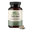 TERRA ORIGIN Digestive Enzymes with Probiotics & Prebiotics | 60 Capsules | Supports Digestive Gut Health | Non GMO, Gluten Free, Vegan | for Women and Men