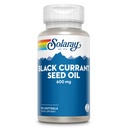 SOLARAY Black Currant Seed Oil 600 mg - Het leveren van antioxidanten, Gamma Linolenic Acid (GLA), Alpha Linolenic (ALA) en Linoleic Acid (LA) - Skin Health Support - 60-Day Garantie, 90 Serv, 90 Softgels
