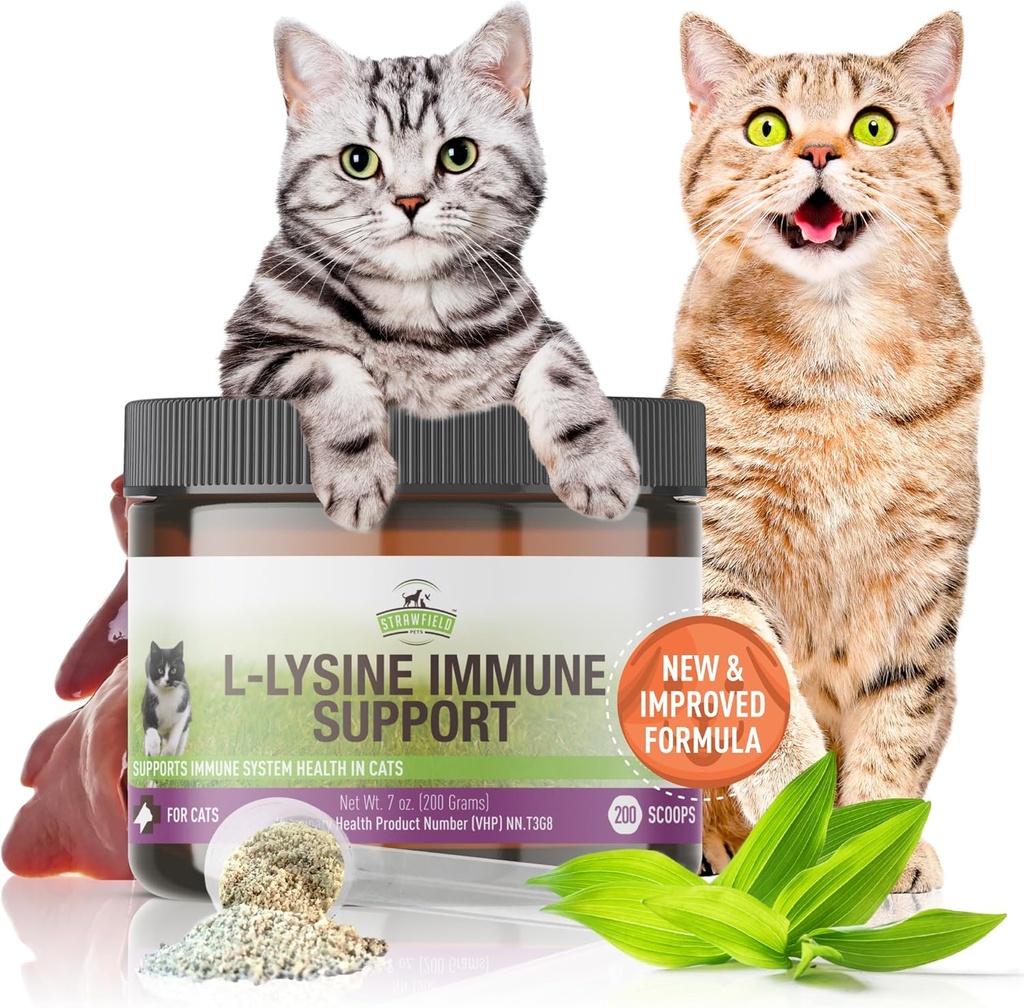 Strawfield Huisdieren L-Lysine Immune Ondersteuning voor Katten & Kittens - 200g Kippen Lever smaakbonus met scoop, Immune Health Supplement Cat Cold Relief, niezen, Congestie, Running Neus, Watery Eyes