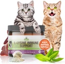 Strawfield Huisdieren L-Lysine Immune Ondersteuning voor Katten & Kittens - 200g Kippen Lever smaakbonus met scoop, Immune Health Supplement Cat Cold Relief, niezen, Congestie, Running Neus, Watery Eyes