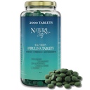 ZingNatural - 100% Pure Organic Spirulina Comprimés de spiruline , non-OGM , Verts quotidiens , Protein vegan Superfood & Antioxydant Support – Riche en Phycocyanine, Beta Carotène & Fer - 2000 comprimés (16 oz en vrac)