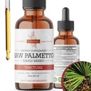 Zag Palmetto Tinctuur 