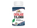 Rise-N-Shine Catalase Supplement 15.000 - Krachtige antioxidant Enzyme voor Hair Health Ondersteuning- Haarsupplementen voor Sterke Haar Ondersteuning - 30 Capsules