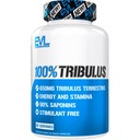 Revigorer Pur Tribulus Terrestris pour les hommes - Performance Maximiser le supplément Tribulus Terrestris de testostérone avec 90% de saponines - Stamine à base végétale et pilules énergétiques pour les hommes