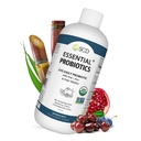 Probiotiques essentiels pour les femmes, les hommes, les enfants et les tout-petits, Probiotique vivant pour la digestion et l'immunité, Supplément probiotique liquide pour la santé de Gut avec 11 souches – 16,3 fl oz par SCD Probiotiques