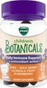 Vicks Children's Botanicals Daily Immune Support* + Antioxidant Action, Gummies, Made with Zink, Goji Berry, Acerola Fruit, and Elderberry, 60 ct