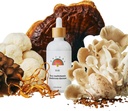 Rainbo - 11:11 Multi Mushroom Tinctuur - 11-in-1 Dual Extract Mushroom Blend - Uitgebreide Immune Ondersteuning, Hersenen Ondersteuning, Liquid Lion's Mane & Turkey Tail, Vegan, Non GMO, 3.4 fl oz