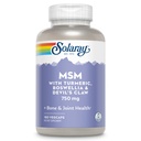 Solaray MSM Capsules, 750 mg, 180 Tellen