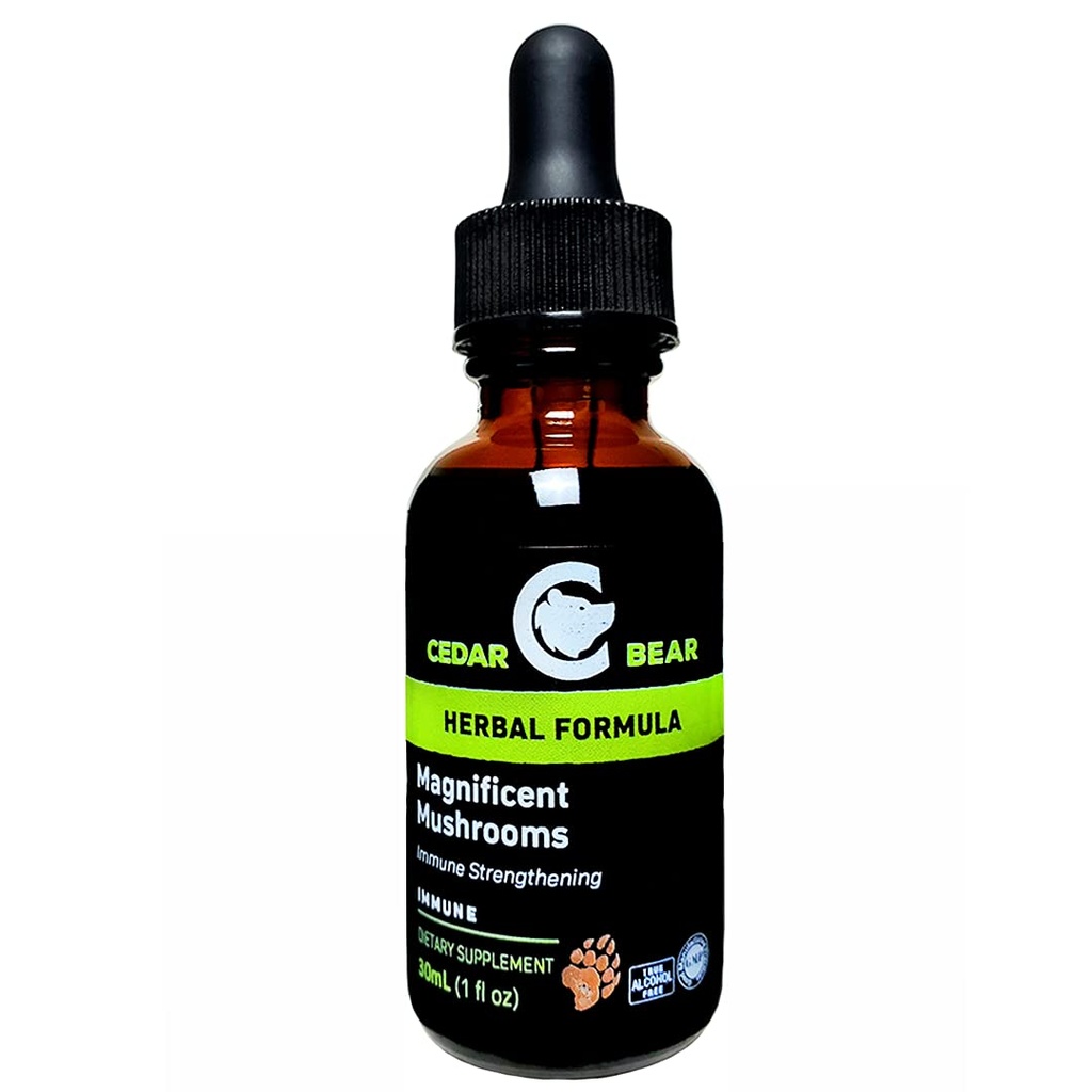 Cedar Bear Magnificent Paddestoelen een vloeibare kruidensupplement dat het immuunsysteem bouwt, beschermt, versterkt en evenwichten totale gezondheid 1 Fl Oz
