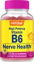 WellYeah High Potency Vitamine B6 Gummies - Promoot Nerve Health, Cognitieve functie, goede verordening, Immune Support, en cardiovasculaire gezondheid - Vegan, Non-GMO, Glutenvrije - 60 Tellen