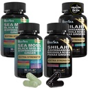 Boysea. Shilajit and Sea Moss Bundle- 90 Count - Sea Moss, Black Seed Oil, Ashwagandha, Ginger & Shilajit, Rhodiola Rosea, All in 1 Supplementen (2 Pc)
