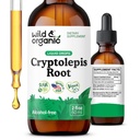 Wild & Organic Cryptolepis Sanguinolenta Tincture - Detox & Immune Support Supplement - 1-Month Supply - Cryptolepis Extract Liquid Drops - Vegan, Sugar & Alcohol-Free - 2 fl oz