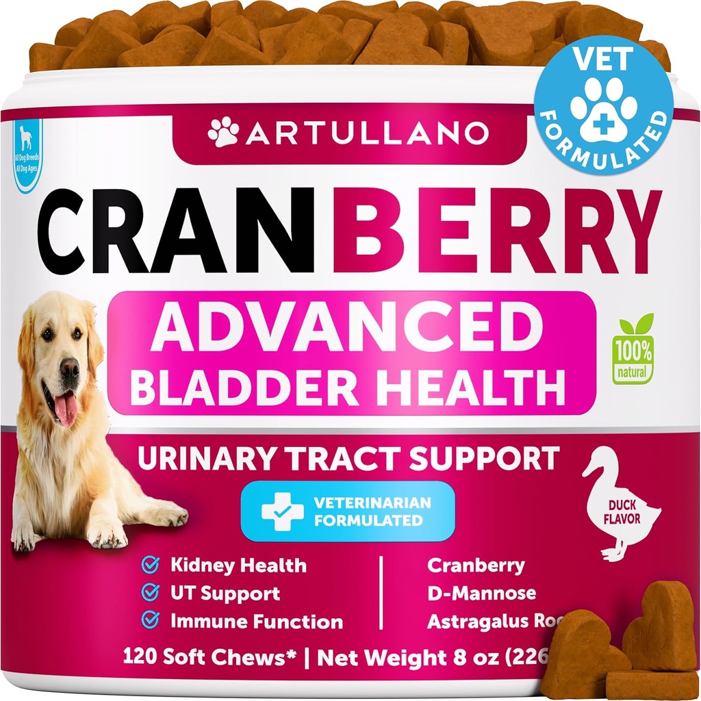 Behandeling hond Uti - Cranberry Supplement & Blaas controle voor honden - Urineweginfectie Incontinentie pil, blaasstenen - Uti geneeskunde Treats - 120 zachte kauwen voor nierondersteuning met visolie