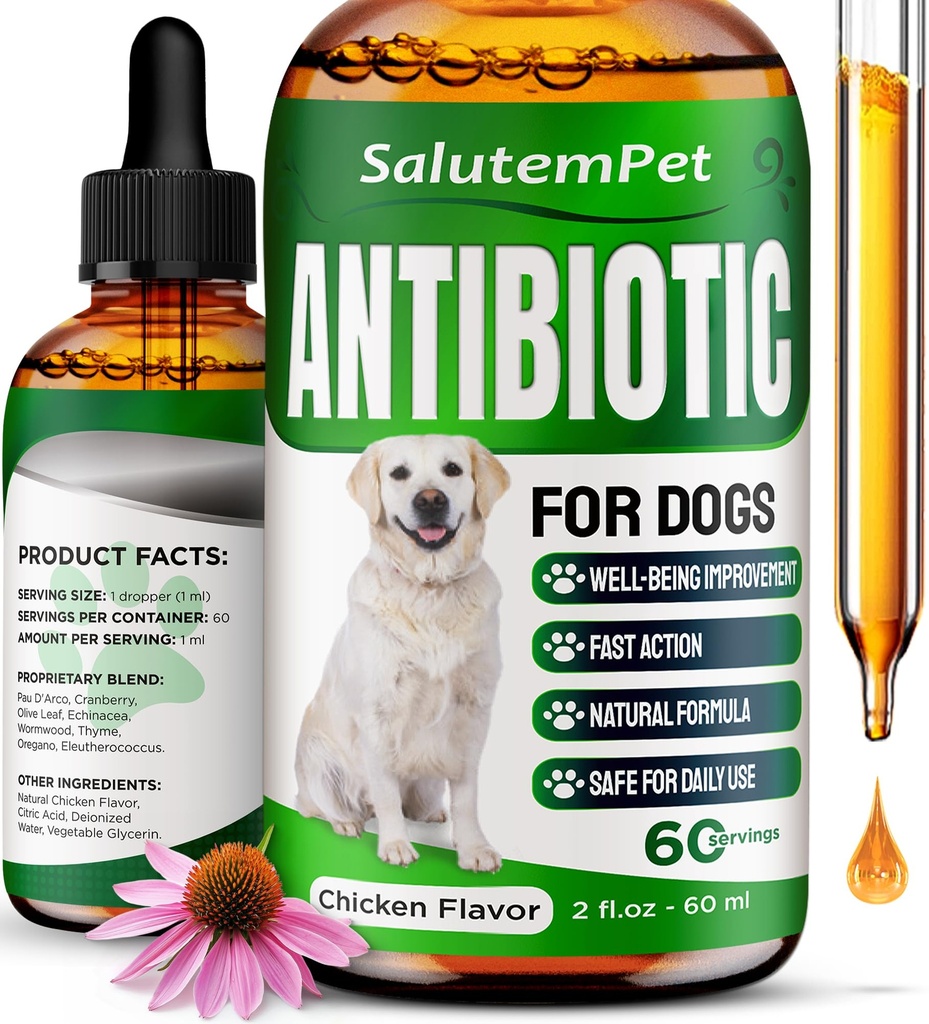Natuurlijke Antibiotica voor honden 