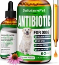 Natuurlijke Antibiotica voor honden 