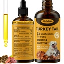 Tuile de dinde Champignon pour chiens - Absorption plus rapide 2000mg Tuile de dinde Champignon pour immune et digestif, joint, énergie, 5X Champignons pour animaux de compagnie goutte avec curcuma et probiotique - Vet Formulé, 90 ML/3FL.oz