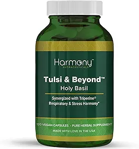 Tulsi - Heilige Basil Supplement - Hoogste Potentie, Maximale bio-availabiliteit, Gemaakt met biologische kruiden (Vegetarische Capsules, 120 Tel)