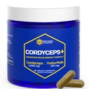 Cordyceps Mushroom Capsules - 1000mg Cordyceps Extract & 125mg Yerba Mate Extract - 100% Fruiting Body Mushroom Supplement - Ondersteunt Brain Energy & Cognitive Performance - 60 Yerba Mate Capsules