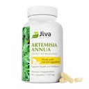 Jiva Botanicals Artemisia Annua Sweet Wormwood Capsules - Ondersteunt immuunsysteem en normale levergezondheid - Made in The USA - 90 Capsules