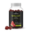 Shilajit Gummies Puur Himalaya Shilajit Supplement met Fulvic Acid 
