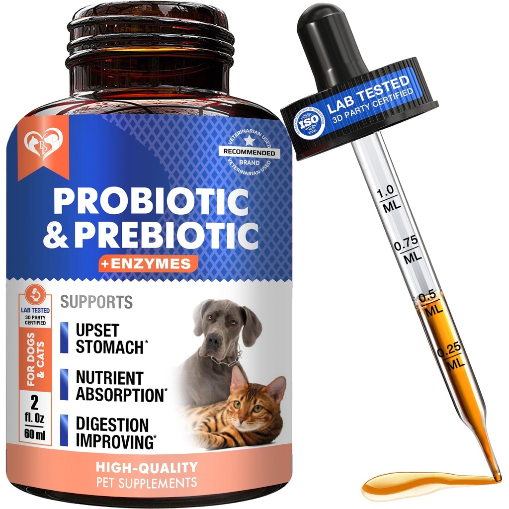 Probiotiques et prébiotiques avec enzymes pour les chiens et les chats - Suppléments alimentaires pour animaux de compagnie Gut Flora santé - Constipation et diarrhée et traitement à la maison de gaz - Relief de l'estomac relevé - Fabriqué aux États-Unis
