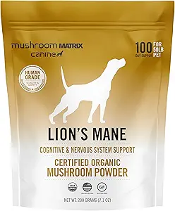 Om Paddestoel Matrix Lion