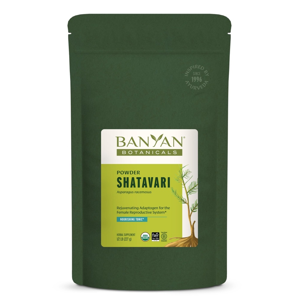 Banyan Botanicals Shatavari Poudre – Asperges organiques Racemosus Poudre racine – Rejuvéner tonique adaptogène qui soutient un système de reproduction sain* – 1/2 lb. – Vegan non-OGM source durable