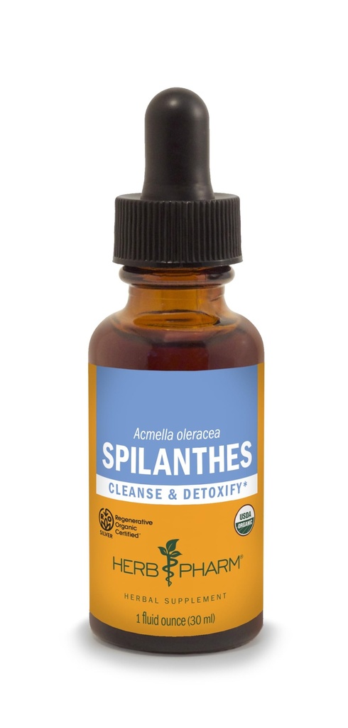Extrait liquide certifié Herb Pharm Spilanthes Organic pour le nettoyage et la désintoxication - 1 Ounce