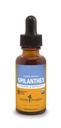 Extrait liquide certifié Herb Pharm Spilanthes Organic pour le nettoyage et la désintoxication - 1 Ounce