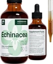 Echinacea 4 fl oz Liquid Extract - Biologische Wortel, Blad, Bloem, Zaad - Natuurlijke Kruidensupplement - Lichaam, Immuunsysteem Ondersteuning Tinctuur - Hoge Potentie Drops - 90-dagen levering - Familiegrootte