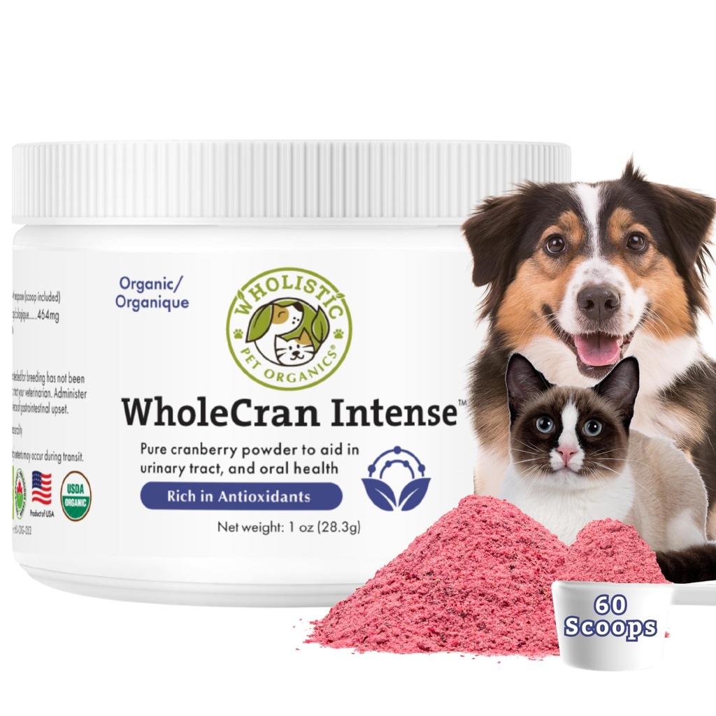 Wholistic Pet Organics WholeCran Intense: Biologische Cranberry Powder voor honden Urinaire Tract Ondersteuning van de nieren voor honden UTI behandeling Vitamine C en Antioxidanten Honden Incontinentie Product