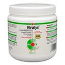 Vetochinol Viralys Dagelijkse L-Lysine Poeder voor Katten en Kittens, Vis Smaak Lysine Supplement voor Katten en Kittens om Immune Gezondheid, Normale Oogfunctie en Ademhalingsgezondheid te ondersteunen, 100gm