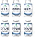 Top Earth Naturals Six Pack de Catalase 10 000 Formula Enzyme Supplément avec Saw Palmetto, Biotin, Fo-Ti, PABA - Suppléments capillaires pour cheveux forts - 360 Capsules (180 jours d'approvisionnement)