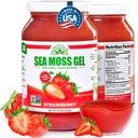 Wildcrafted Irish Sea Moss Gel Made in USA Rijk aan vitamines en mineralen 