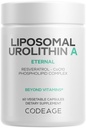 Codeage Liposomal Urolithin A Supplement 500mg Per Serving + Resveratrol, Betaine, CoQ10, Ellagitannins - A New Frontier Beyond NADH, NMN, NAD, NR, en PQQ Vitaminen - Bio available - 60 Capsules